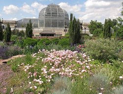 Us Botanical Garden, United States Botanical Garden, Washington Dc Garden
Garden Design
Calimesa, CA
