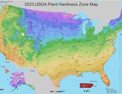 Usda Growing Zone Map
Garden Design
Calimesa, CA