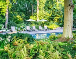 Vacation At Home
Garden Design
Calimesa, CA