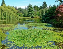 Van Dusen Botanical Garden
AmericanHort
Columbus, OH