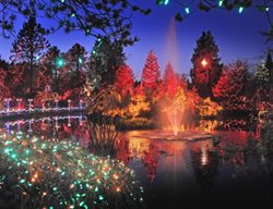 Van Dusen
Garden Design
Calimesa, CA