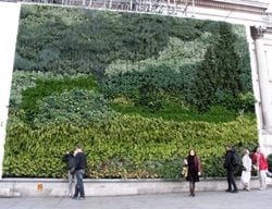 Van Gogh Vertical Garden
Garden Design
Calimesa, CA