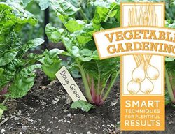 Vegetable Gardening Techniques Course
Garden Design
Calimesa, CA