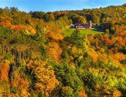 Vermont
Garden Design
Calimesa, CA