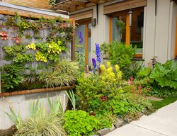 Vertical Pocket Planter, Vertical Planting
Garden Design
Calimesa, CA