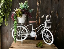 Vintage Bicycle Planter
Carolynn Dilbeck
Calimesa, CA