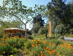 Visit A California Native Plant Garden
Garden Design
Calimesa, CA