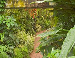 Visit A Southern Conservatory
Garden Design
Calimesa, CA
