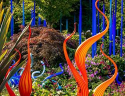 Visit Chihuly Garden And Glass
Garden Design
Calimesa, CA
