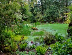 Visit Heronswood 
Garden Design
Calimesa, CA