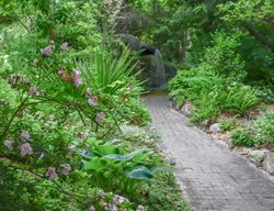 Visit Juniper Level Botanic Garden
Garden Design
Calimesa, CA