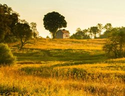 Visit Longwood Gardens
Garden Design
Calimesa, CA