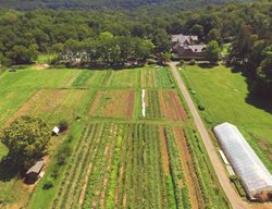 Visit Natirar 
Garden Design
Calimesa, CA