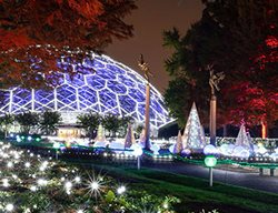 Visit Seasonal Exhibits At Botanic Gardens
Garden Design
Calimesa, CA