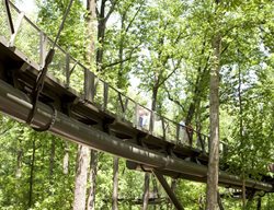 Visit The Atlanta Botanical Garden
Garden Design
Calimesa, CA