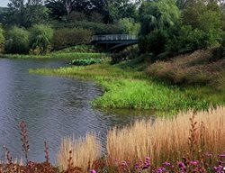 Visit The Chicago Botanic Garden
Garden Design
Calimesa, CA