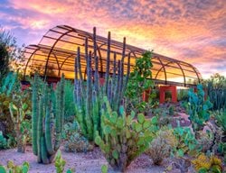 Visit The Desert Botanical Garden In The Evening
Garden Design
Calimesa, CA