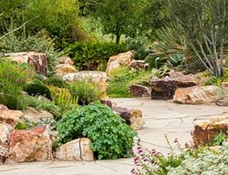 Visit The Gardens On Spring Creek In Fort Collins
Garden Design
Calimesa, CA