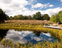 Visit The Native Garden At The New York Botanical Garden
Garden Design
Calimesa, CA