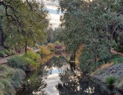 Visit The Uc Davis Arboretum
Garden Design
Calimesa, CA
