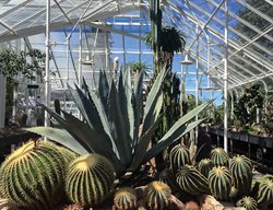 Visit The Volunteer Park Conservatory
Garden Design
Calimesa, CA