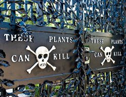 Warning Sign 
Garden Design
Calimesa, CA