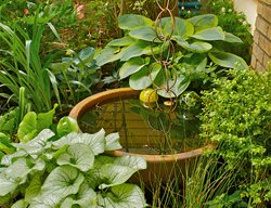 Water Bowl In Garden
Garden Design
Calimesa, CA