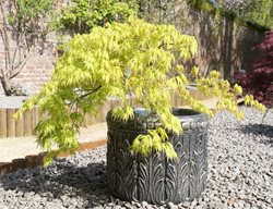 Water Pots Well
Garden Design
Calimesa, CA