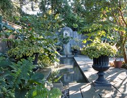 Water Rill At Chanticleer
Le-jardinet
Seattle, WA