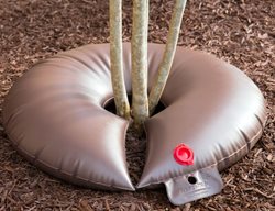 Water Trees And Plants Deeply
Garden Design
Calimesa, CA