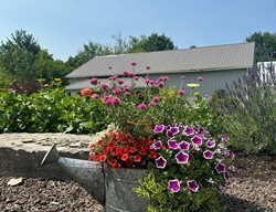 Watering Can Planter
Garden Design
Calimesa, CA