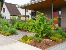 Waterwise Front Yard Landscape
Garden Design
Calimesa, CA