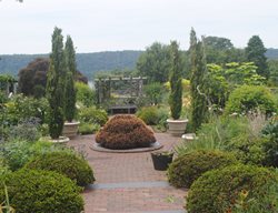 Wave Hill Flower Garden
Garden Design
Calimesa, CA