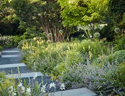 Wave Hill Garden
Garden Design
Calimesa, CA