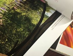 Web Test
Garden Design
Calimesa, CA