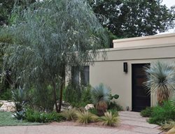 Weeping Tree, Acacia Tree
Ten Speed Press
Berkeley, CA