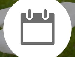 When To Plant, Calla Lilies
Garden Design
Calimesa, CA