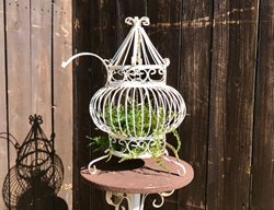White Bird Cage
Carolynn Dilbeck
Calimesa, CA