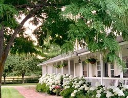 White Farmhouse With Hydrangeas
Garden Design
Calimesa, CA