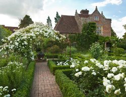 White Garden At Sissinghurst Castle, White Garden, Sissinghurst Castle
Alamy Stock Photo
Brooklyn, NY