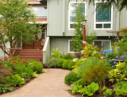 Wide Sidewalk Entry
Garden Design
Calimesa, CA
