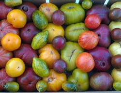 Wild Boar Farm
Garden Design
Calimesa, CA