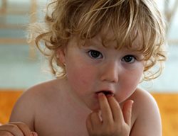 William Bread
Garden Design
Calimesa, CA