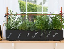 Window Box, Herbs, Chalkboard
Garden Design
Calimesa, CA