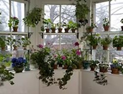 Window Garden 
Garden Design
Calimesa, CA