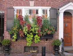 Windowbox Rittenhouse Square
Garden Design
Calimesa, CA