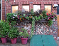 Windowbox South Street
Garden Design
Calimesa, CA
