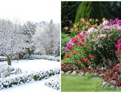 Winter And Summer Gardens
Garden Design
Calimesa, CA