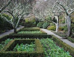 Winter Garden At Filoli
Garden Design
Calimesa, CA