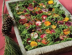 Winter Salad, Beet Salad, Blood Orange Salad
Rizzoli
New York, NY